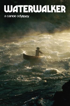 Waterwalker's poster