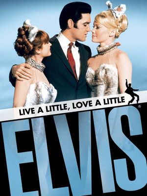 Live a Little, Love a Little's poster
