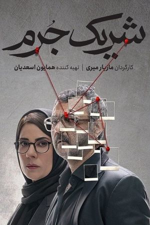 Accomplice's poster