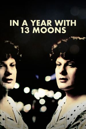 In a Year with 13 Moons's poster