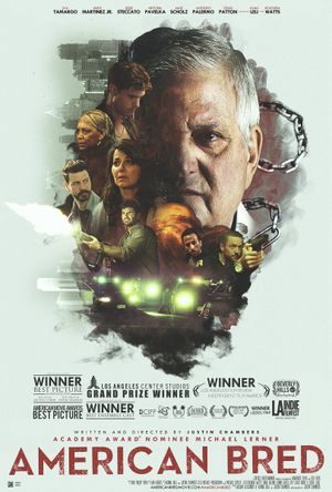 American Bred's poster