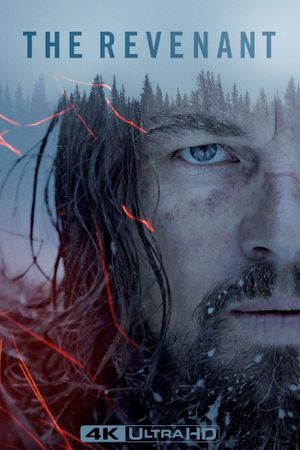The Revenant's poster
