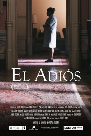 The Goodbye's poster