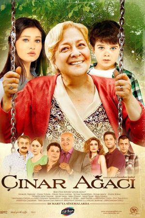 Çinar Agaci's poster