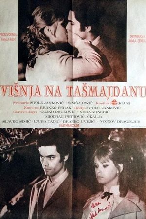 The Girl in the Park's poster