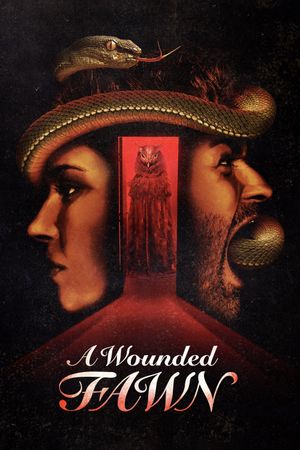 A Wounded Fawn's poster