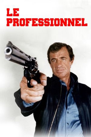 The Professional's poster