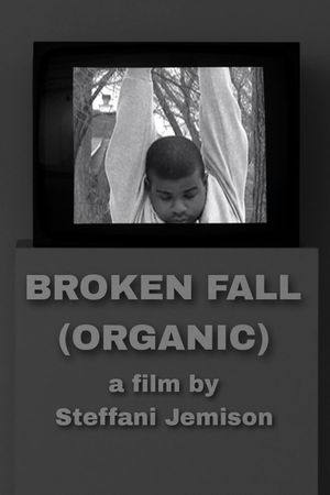 Broken Fall (Organic)'s poster