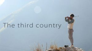 The Third Country's poster