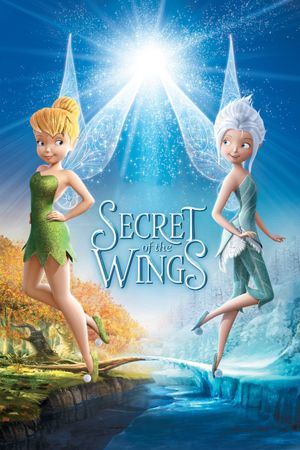 Secret of the Wings's poster