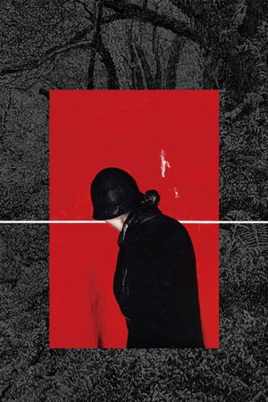 Sunflower in the dark's poster