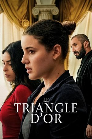 Golden Triangle's poster image