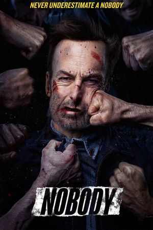 Nobody's poster