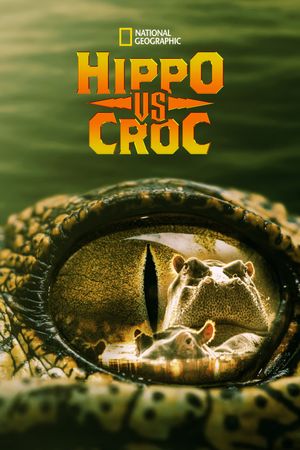 Hippo vs Croc's poster image