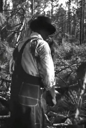Men of the Forest's poster