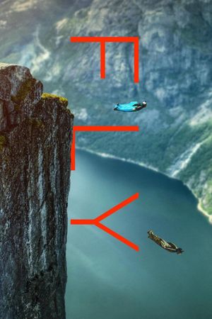 Fly's poster
