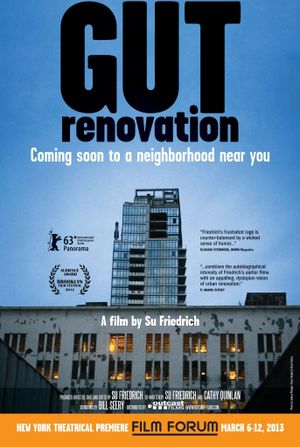 Gut Renovation's poster