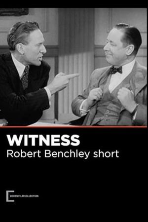 The Witness's poster