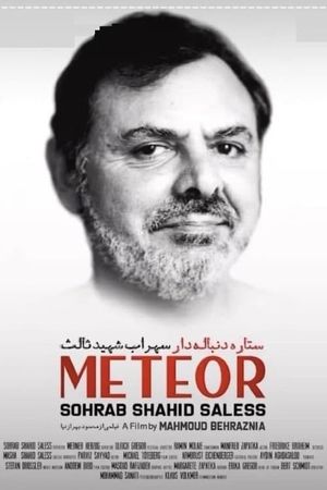 Meteor: Sohrab Shahid Saless's poster