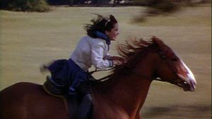National Velvet's poster