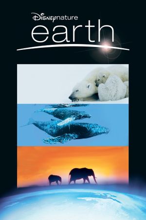 Earth's poster