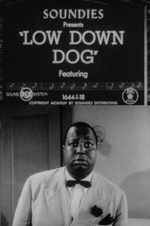 Low Down Dog's poster