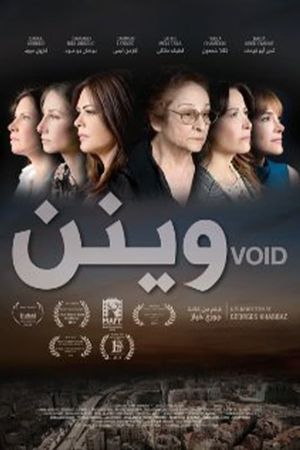 Void's poster