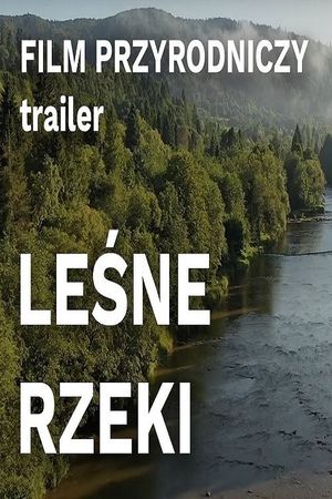 Leśne rzeki's poster