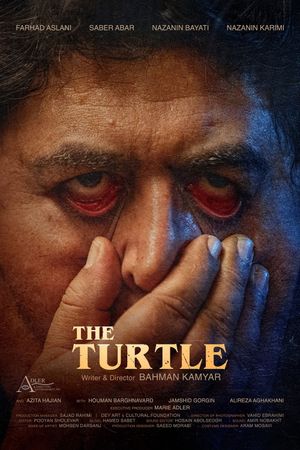 The Turtle's poster