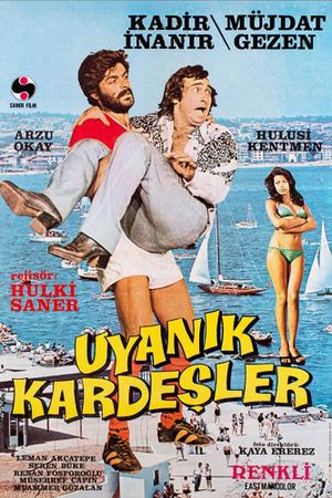 Uyanik Kardesler's poster