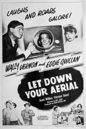 Let Down Your Aerial's poster