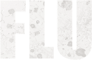 Flu's poster