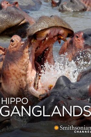 Hippo Ganglands's poster