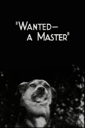 Wanted - A Master's poster