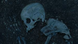 Bones's poster