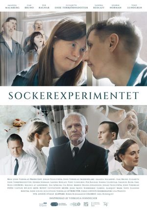 The Sugar Experiment's poster