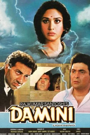 Damini's poster