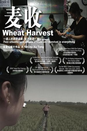 Wheat Harvest's poster