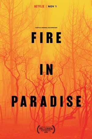 Fire in Paradise's poster