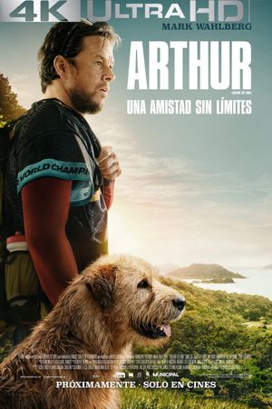 Arthur the King's poster