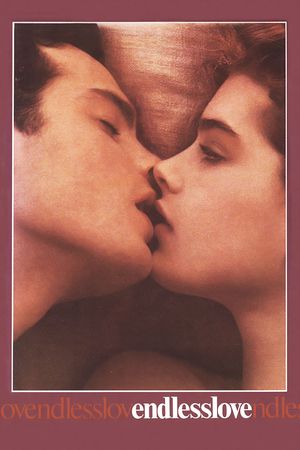 Endless Love's poster