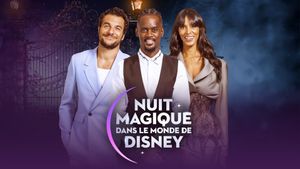 Magical Night in Disney World's poster