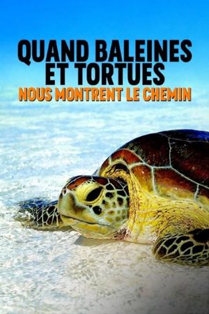 Quand baleines et tortues nous montrent le chemin's poster