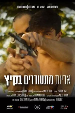 Lions Awake in the Summer's poster