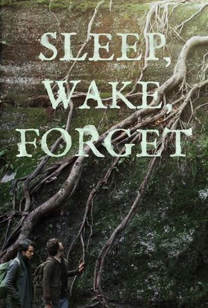 Sleep, Wake, Forget's poster