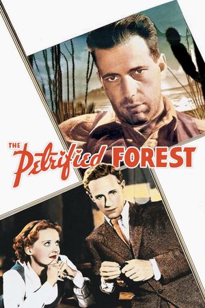 The Petrified Forest's poster