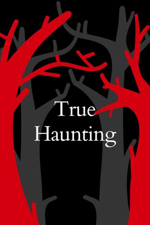 The Haunting in Wicker Park's poster