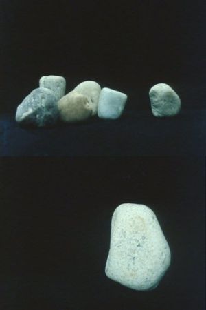 Rocks's poster