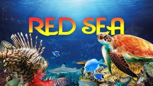 Red Sea 4K's poster