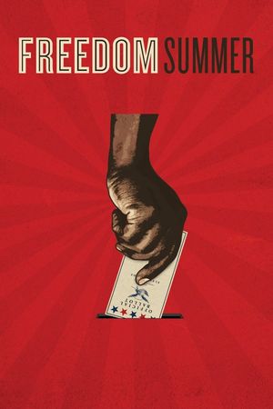 Freedom Summer's poster